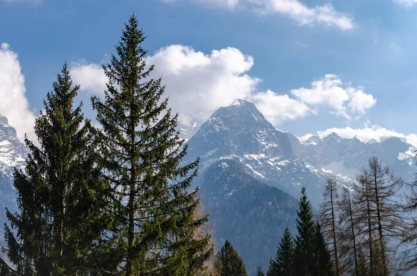 Вид Итальянские Доломитные Альпы Через Кучу Деревьев Красивые Горные Вершины — стоковое фото