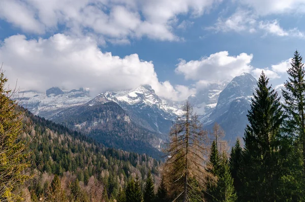 İtalyan Dolomite Alpleri 'nin ağaçların arasından görünüşü. Kar ve bulutlarla kaplı güzel dağ zirveleri.