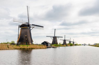 Hollanda, Hollanda 'nın nehir kıyısında sıralanmış tipik bir yel değirmeni sırası. Hollanda klasiği.