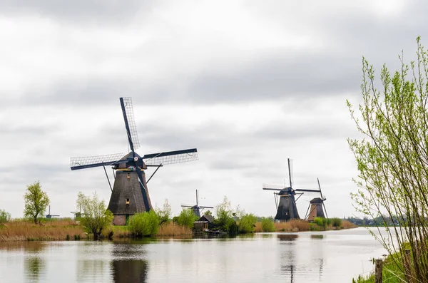 Типичный Ряд Ветряных Мельниц Расположенных Берегу Реки Голландия Нидерланды Классика — стоковое фото