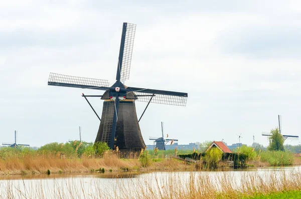 Typický Větrný Mlýn Zarovnaný Břehu Řeky Holandsko Nizozemsko Holandská Klasika — Stock fotografie