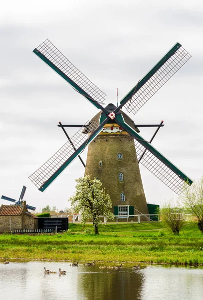 典型的风车排列在荷兰的河岸上 荷兰古典文学 — 图库照片