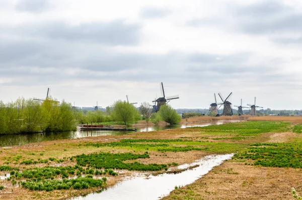 Hollanda Hollanda Nın Nehir Kıyısında Sıralanmış Tipik Bir Yel Değirmeni — Stok fotoğraf
