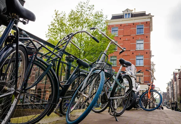 Una Fila Bicicletas Estacionadas Puente Ámsterdam Forma Típica Transporte — Foto de Stock