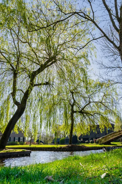 Красивый Парк Водным Каналом Лодок Исторической Голландской Деревне Круумте Голландия — стоковое фото