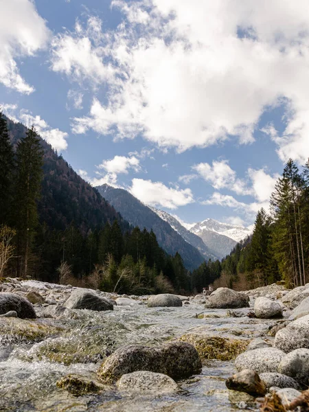 Zbliżenie Kamieni Rzece Płynącą Wodą Środku Lasu Alpach Włoskich Wiosenne — Zdjęcie stockowe