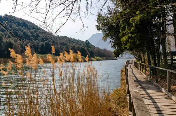 意大利阿尔卑斯山前的一条小路 沿着托夫里诺湖 有一座木制桥梁 还有一条野草丛生的公共芦苇 — 图库照片