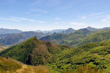 İspanya 'daki dağ zirveleri Picos de Europa ulusal parkı. Ağaçlarla ve doğa ile dolu güzel yeşil tepeler..