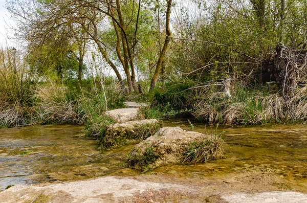 Caminho Através Rio Criado Partir Trampolim Natural Pedregulhos Grandes Água — Fotografia de Stock