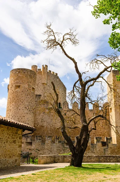 Bellissimi Edifici Nel Castello Frias Con Albero Verde Fortezza Spagna — Foto Stock