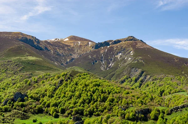 Picchi Montagna Spagna Parco Nazionale Picos Europa Bellissima Collina Verde — Foto Stock