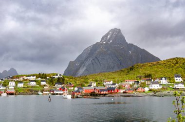 Norveç 'te güzel bir körfez köyü. Resim-kusursuz konum için dağ manzarası.