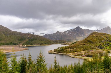 Açık güneşli bir günde balıklarla dolu Norveç dağlarının güzel manzarası. Süper yeşil manzara. Tıpkı bir kartpostal gibi..
