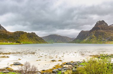 Norveç 'te vahşi doğa deniz manzaralı dramatik manzaralı yüksek dağlar - fiyort. Sihirli manzara, tıpkı bir kartpostal gibi..