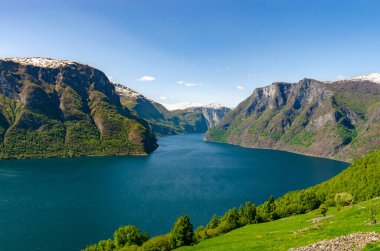 Açık güneşli bir günde balıklarla dolu Norveç dağlarının güzel manzarası. Süper yeşil manzara. Tıpkı bir kartpostal gibi..