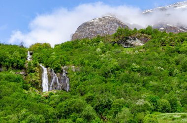 Norveç dağlarında güzel, uzun ve görkemli bir şelale. Ağaçlarla kaplı bir orman, güzel bir vahşi yaşam ve doğa oluşturuyor..