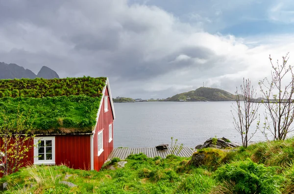 Una Típica Casa Campo Madera Roja Noruega Con Hierba Malas — Foto de Stock