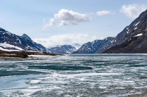 Bulutlu Ama Güneşli Bir Günde Balıklarla Dolu Norveç Karlı Dağlarının — Stok fotoğraf
