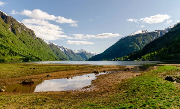 川の魚でいっぱいの晴れた日にノルウェーの山々の美しい景色 絵葉書のように美しい緑の景色 — ストック写真