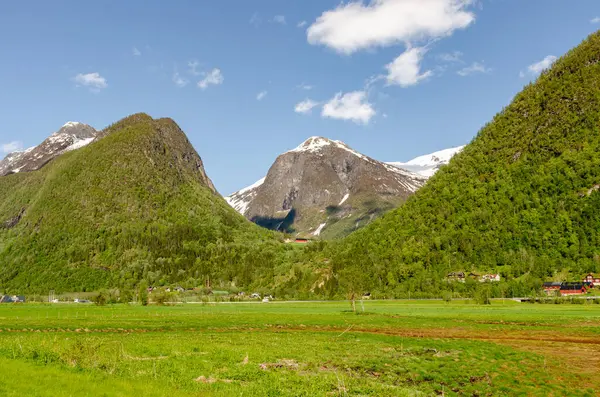 芝生の地面からノルウェーの山の景色 曇った天気は劇的な雰囲気に追加されます — ストック写真