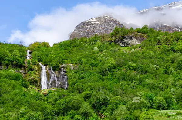 Krásný Přírodní Dlouhý Majestátní Vodopád Norských Horách Pokryté Stromy Tvořícími — Stock fotografie
