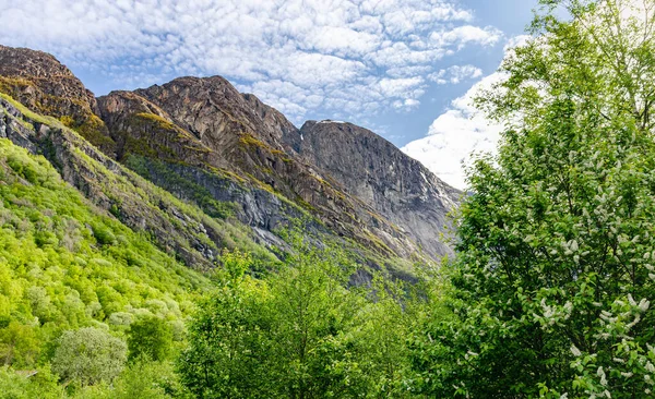 Norveç Dağlarında Güzel Uzun Görkemli Bir Şelale Ağaçlarla Kaplı Bir — Stok fotoğraf