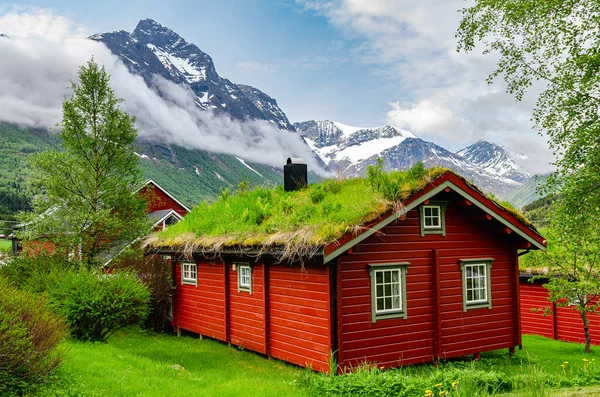 Typická Norská Falu Červená Dřevěná Chalupa Trávou Plevelem Vyrůstajícím Střechy — Stock fotografie