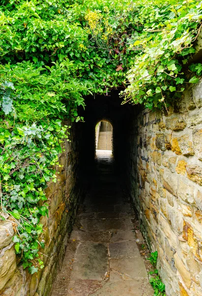 Een Wandeling Door Groene Doorgang Het Historische Mysterieuze Stadje Whitby — Stockfoto
