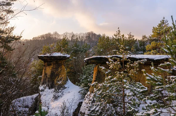 捷克共和国科科林斯克Poklicky岩层有趣 就像壶上的蘑菇盖子一样的自然奇迹 — 图库照片