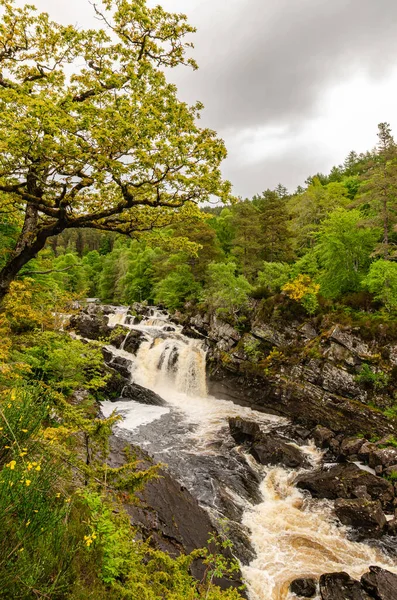 Beau Paysage Avec Une Rivière Cascade Dans Forêt Écossaise — Photo