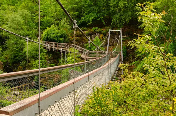 Vista Lateral Uma Ponte Cabo Metal Sobre Desfiladeiro Meio Floresta — Fotografia de Stock