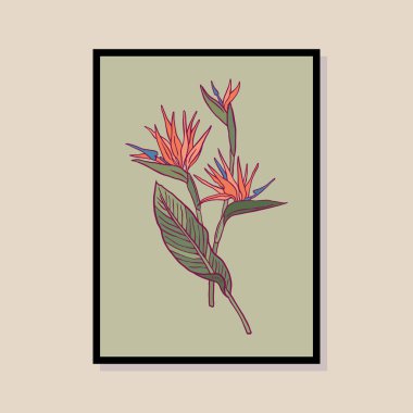 Poster tasarımı, afişler, marka kimliği, ambalaj iç tasarımı için minimal botanik çizimi