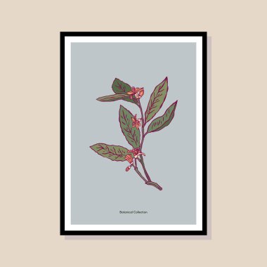 Poster tasarımı, afişler, marka kimliği, ambalaj iç tasarımı için minimal botanik çizimi