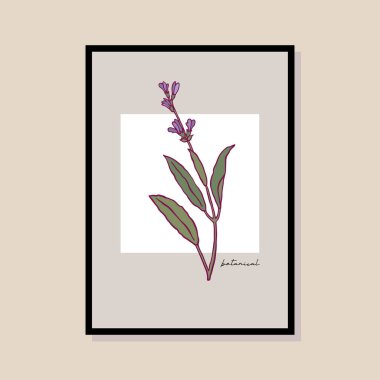 Poster tasarımı, afişler, marka kimliği, ambalaj iç tasarımı için minimal botanik çizimi