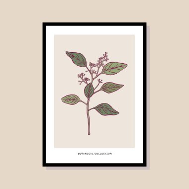 Poster tasarımı, afişler, marka kimliği, ambalaj iç tasarımı için minimal botanik çizimi