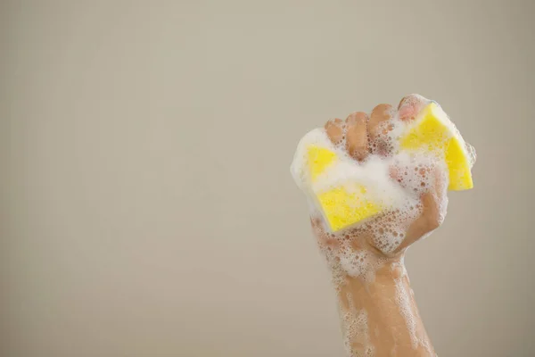 英国威士忌海绵 用于清洁水龙头 卫生用品 — 图库照片