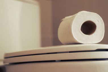 Kağıt mendil banyodaki klozetin üzerine yerleştirilmiş..