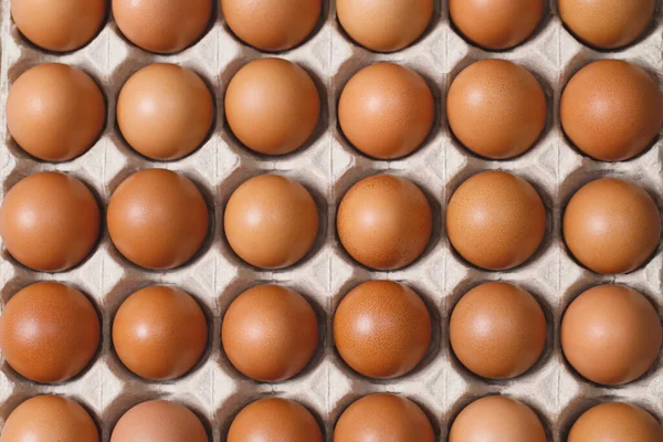 stock image Top view of eggs in a cardboard box ready for breakfast