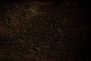 Eski meşe ağacı doğal güzellik çizgisi