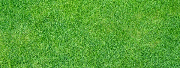 Искусственное Травяное Поле Зеленый Луг Текстура Сверху — стоковое фото