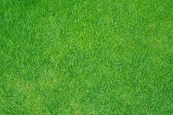 Artificial Grass Field Meadow Green Top View Texture — Stock Photo, Image
