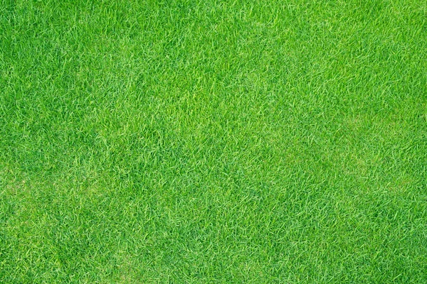 Искусственное Травяное Поле Зеленый Луг Текстура Сверху — стоковое фото