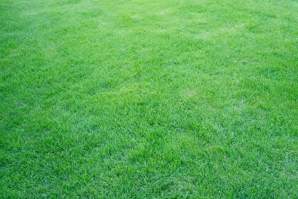 Artificial Grass Field Meadow Green Top View Texture — Stock Photo, Image