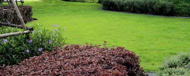 Bir emlak arazisindeki parktaki yeşil çimenler.