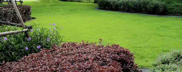 Bir emlak arazisindeki parktaki yeşil çimenler.