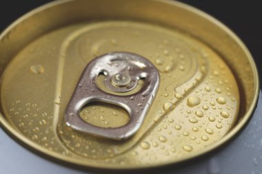 Soğuk konserve bira buzdolabında içmeye hazır.