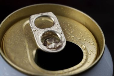 Soğuk konserve bira buzdolabında içmeye hazır.