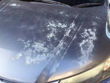 Araba boyası bozulması uzun zamandır güneşe park etmekten kaynaklanıyor..