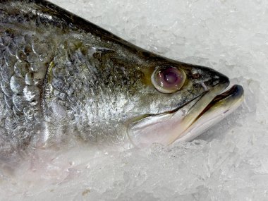 Piyasada dondurulmuş taze balık Omega 3 içerir.