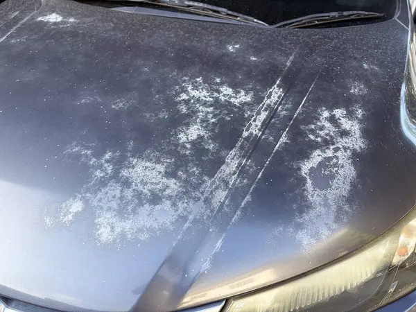 Araba boyası bozulması uzun zamandır güneşe park etmekten kaynaklanıyor..